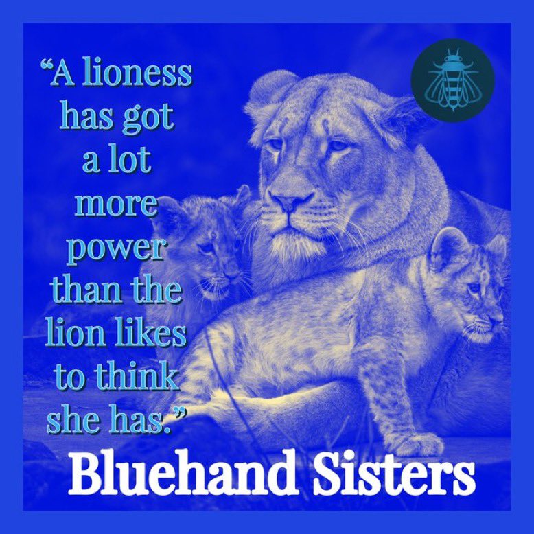 <a href="/Qu33nB57/">👸Queen B 57 🐝</a> Good morning dear Bev ♥️. Have a blessed week 💕🌿🕊️