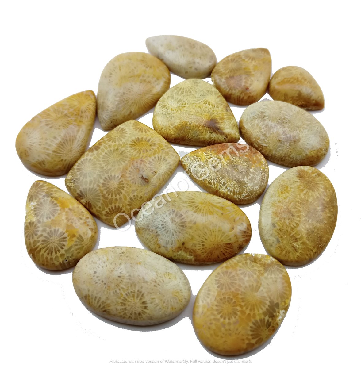 OceanofGems's tweet image. Natural Fossil Coral Cabochon Gemstone

$5 Each Random Pick
Worldwide Shipping$6
Size 25to40mm Approx
Free Drilling Service

#fossilcoral #fossilstone #fossilcoraljewelry #fossilcabochon #fossilcoralpendant #fossilcoralstone
