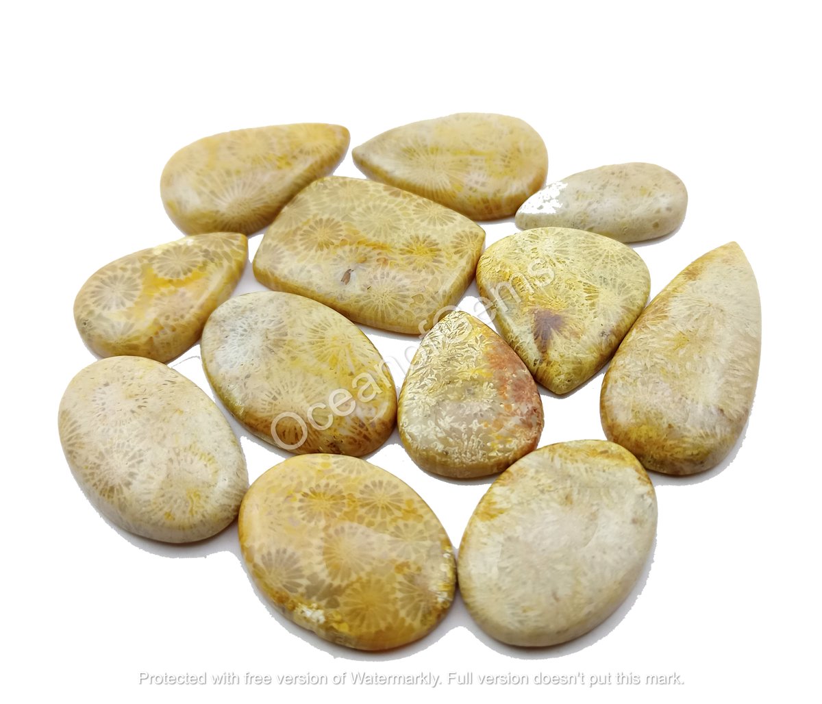 OceanofGems's tweet image. Natural Fossil Coral Cabochon Gemstone

$5 Each Random Pick
Worldwide Shipping$6
Size 25to40mm Approx
Free Drilling Service

#fossilcoral #fossilstone #fossilcoraljewelry #fossilcabochon #fossilcoralpendant #fossilcoralstone
