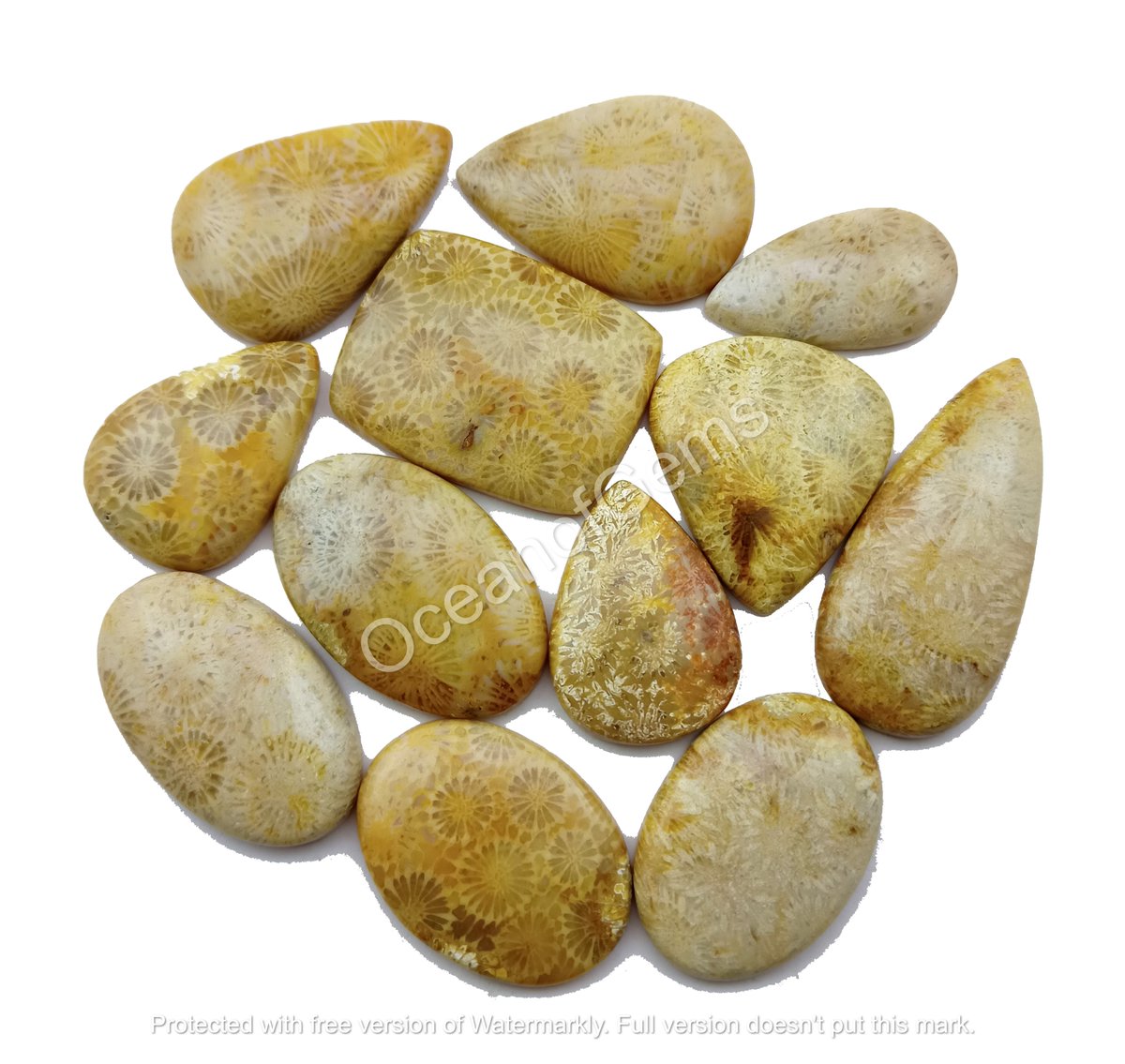OceanofGems's tweet image. Natural Fossil Coral Cabochon Gemstone

$5 Each Random Pick
Worldwide Shipping$6
Size 25to40mm Approx
Free Drilling Service

#fossilcoral #fossilstone #fossilcoraljewelry #fossilcabochon #fossilcoralpendant #fossilcoralstone