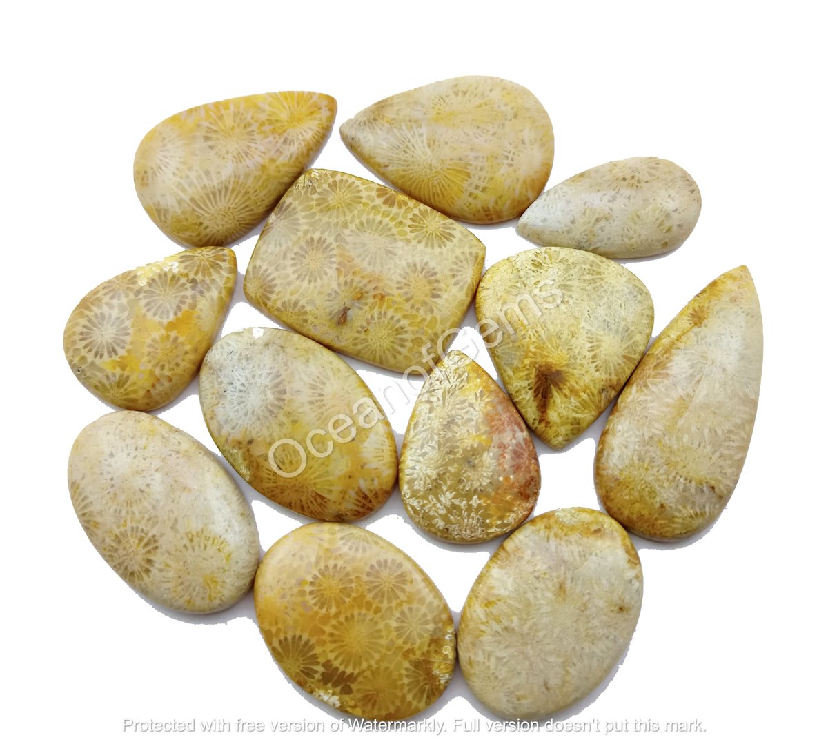 OceanofGems's tweet image. Natural Fossil Coral Cabochon Gemstone

$5 Each Random Pick
Worldwide Shipping$6
Size 25to40mm Approx
Free Drilling Service

#fossilcoral #fossilstone #fossilcoraljewelry #fossilcabochon #fossilcoralpendant #fossilcoralstone