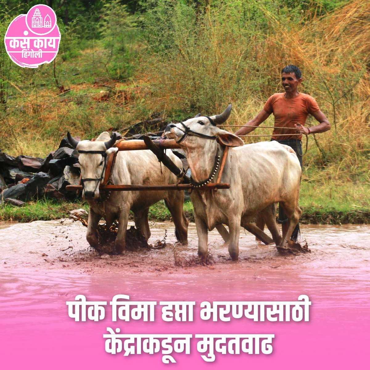 kkHingoli's tweet photo. पीक विमा हप्ता भरण्यासाठी केंद्राकडून मुदतवाढ

#hingoli #kasakaihingoli #maharashtra #kasakaimaharashtra  #maharashtranews #hingolinews #dailyupdate  #hingoliilive #farming #todaynews #hingolidistrict #farmers #aplahingoli #hingolidiaries #like #share #trendingnews #viral https://t.co/VabjMwklWK
