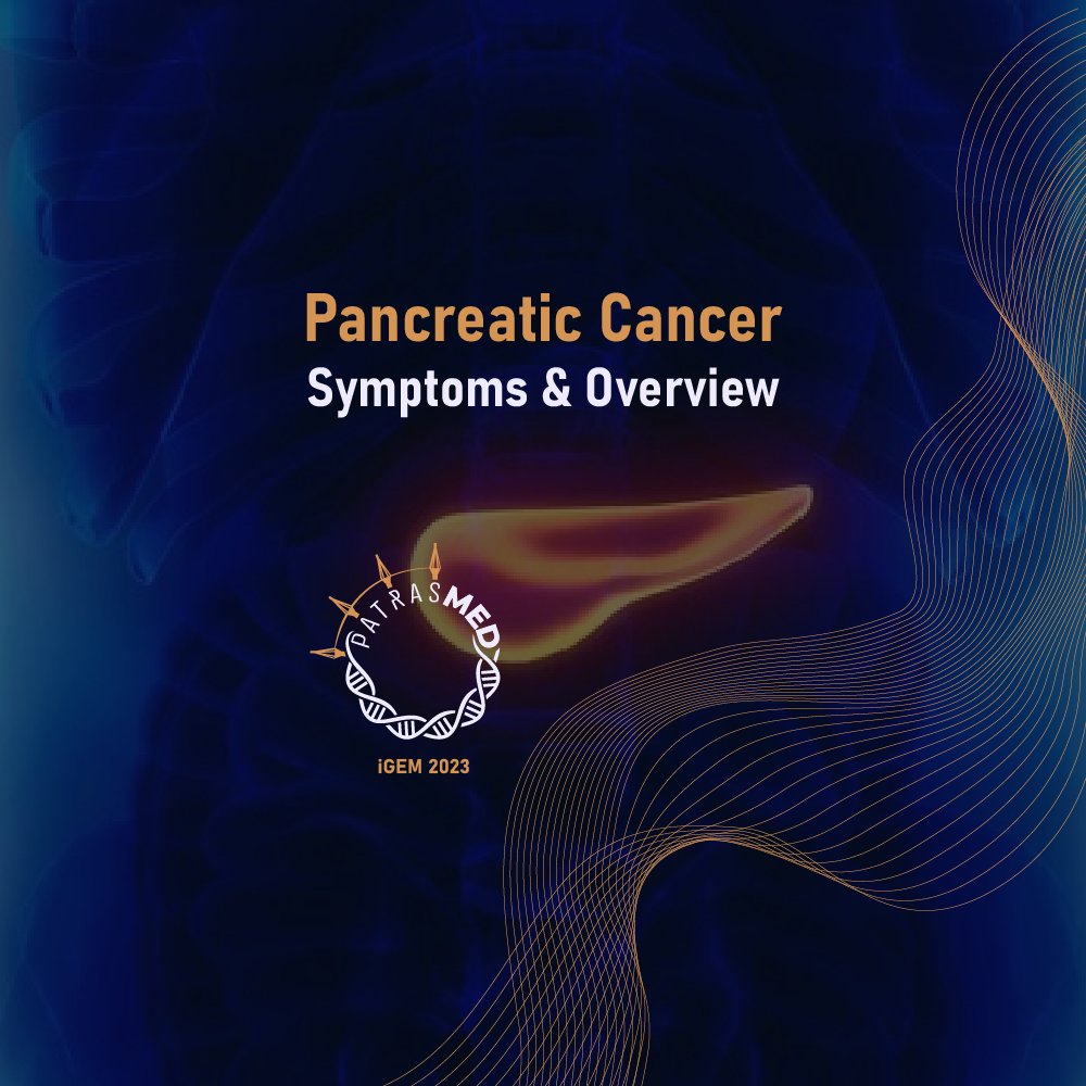 Patras Medicine iGEM 2024 tweet media