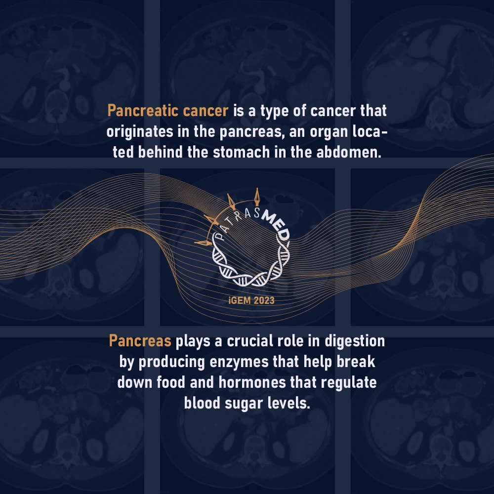 Patras Medicine iGEM 2024 tweet media