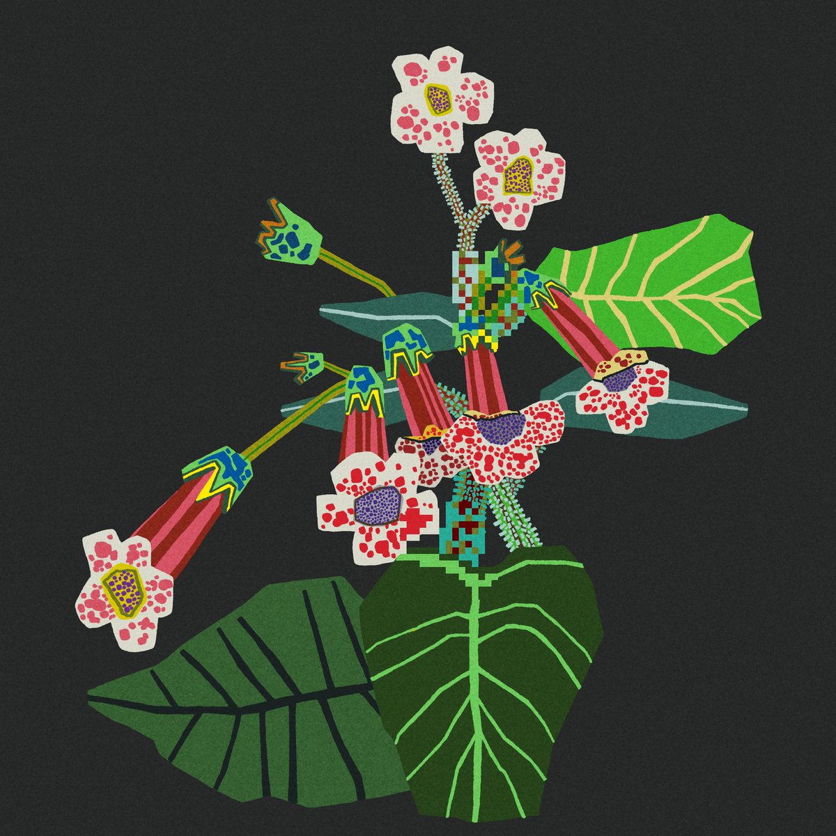 Good morning 🌞🌷