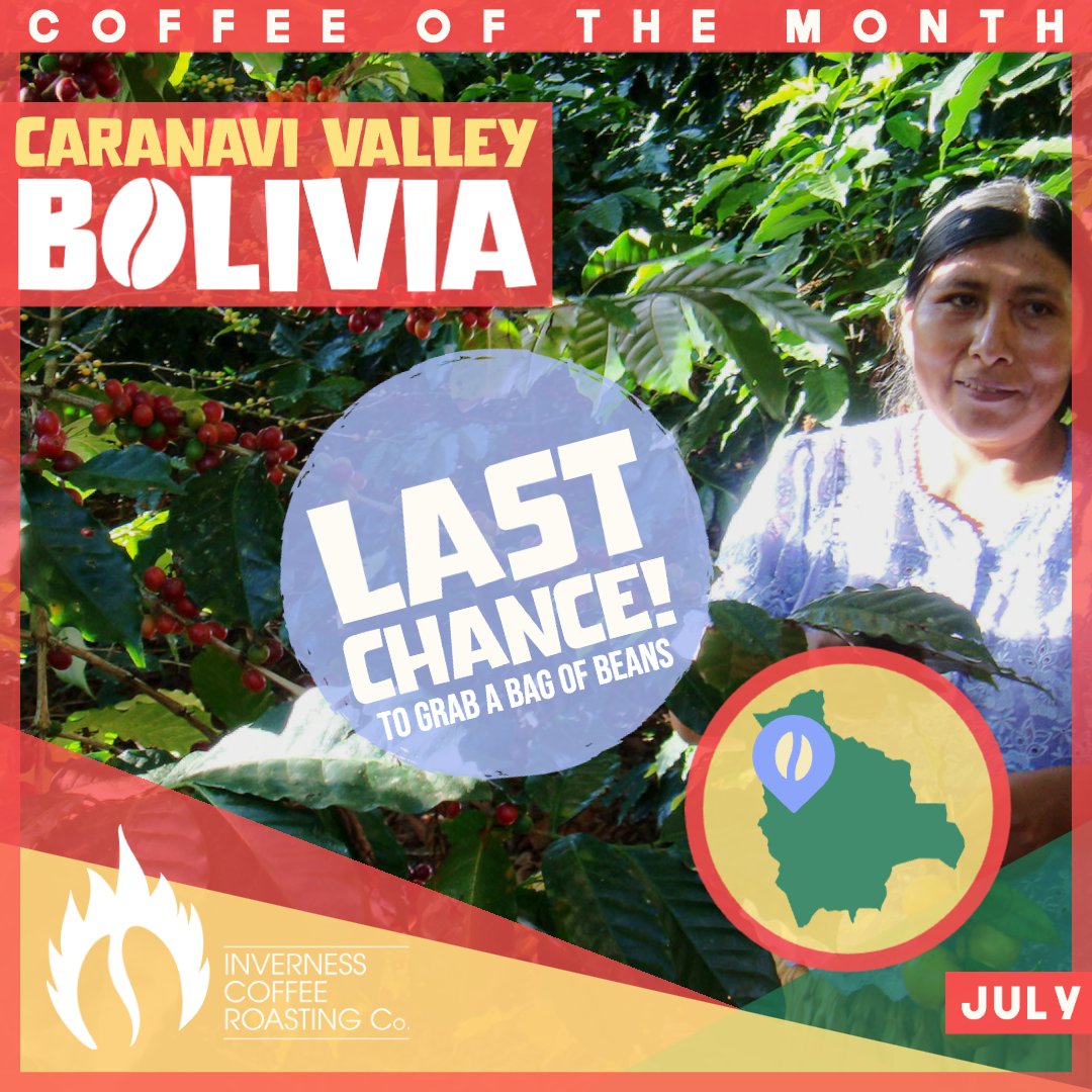 Last orders for some brilliant Bolivian beans before we move on to August's Coffee of the Month - what could it be? You'll just have to wait and see 🙊
invernesscoffeeroasting.co.uk/collections/co…

#invernesscoffeeco #coffeeroasters #coffeeshop #coffee #coffeeofthemonth #lastchance #bolivia