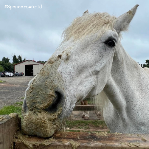 CTDraftRescue's tweet photo. Spencer says, "Your life is not yours if you care what others think." #SpencersWorld https://t.co/30UXiP6Vm5
