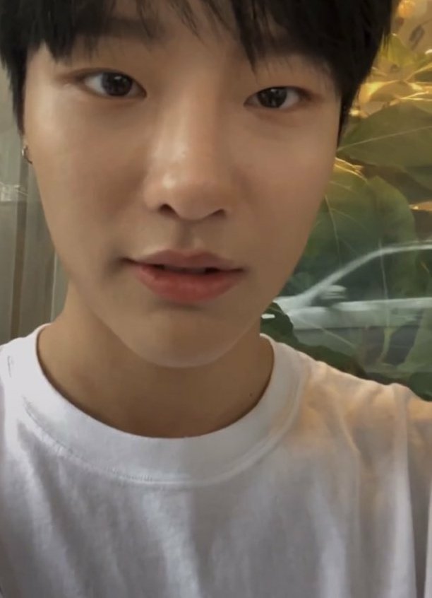 악어 tweet media