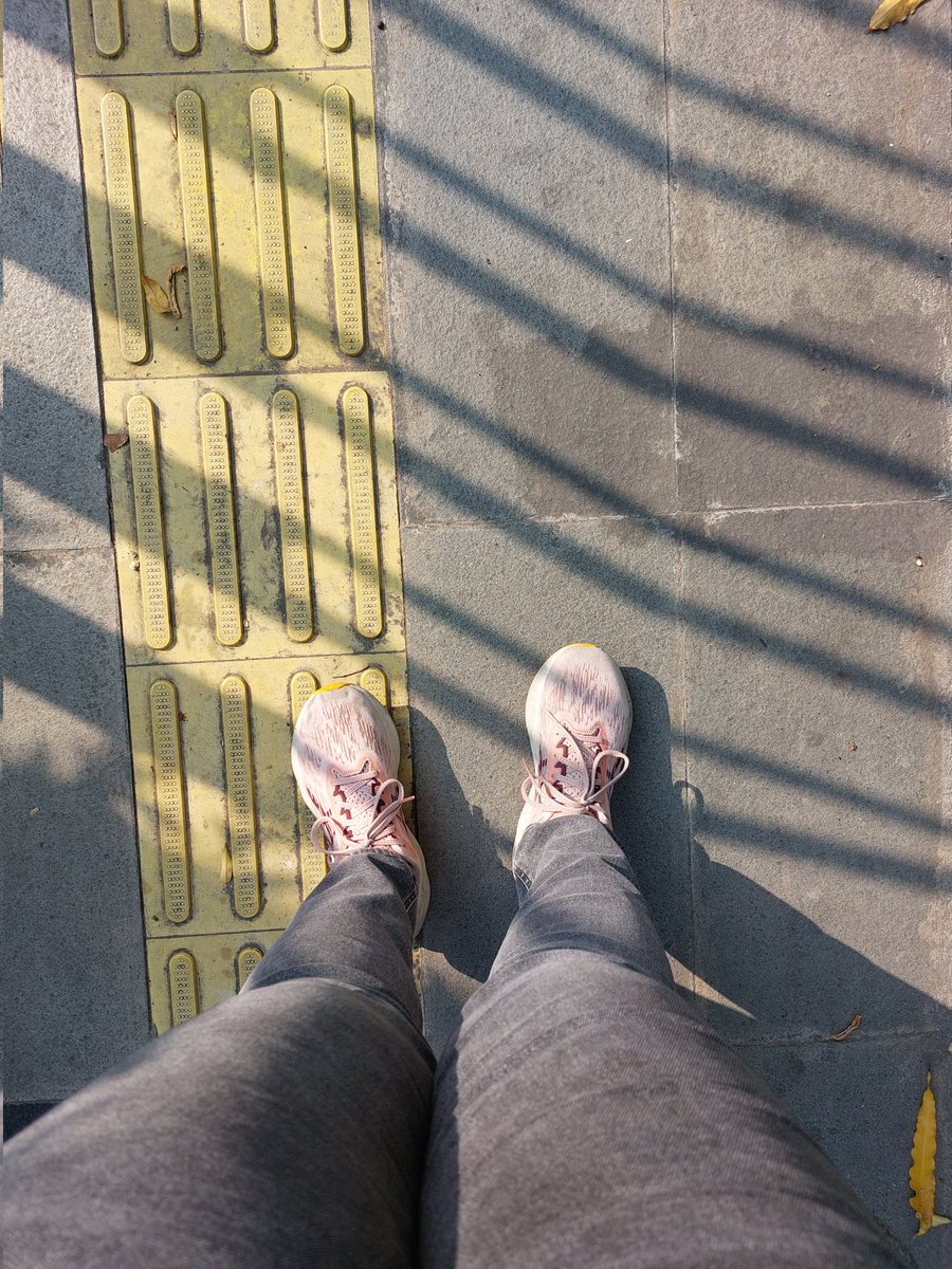 noisette_douce's tweet photo. Ke kantor hr ini pake Asics lupa model apa. Lagi seneng make sepatu running soalnya insole nya empuk. Tapi bulan lalu liat ada yg lari pake sendal #PyoppFledge kok jadi pengen. Kayanya nyaman n ga licin.
#UnggahSepatumu x #PyoppFledge https://t.co/4sKtPJXGqD