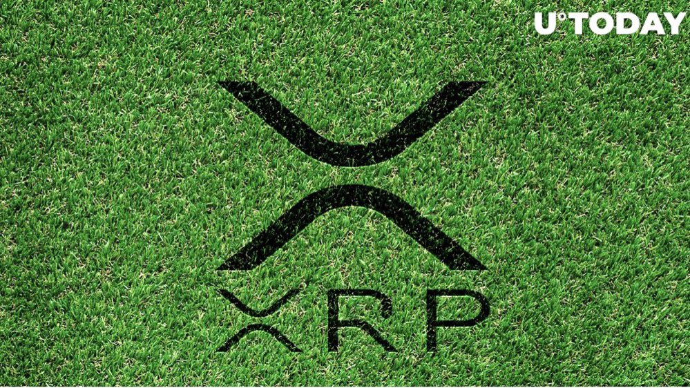 XRP tweet media