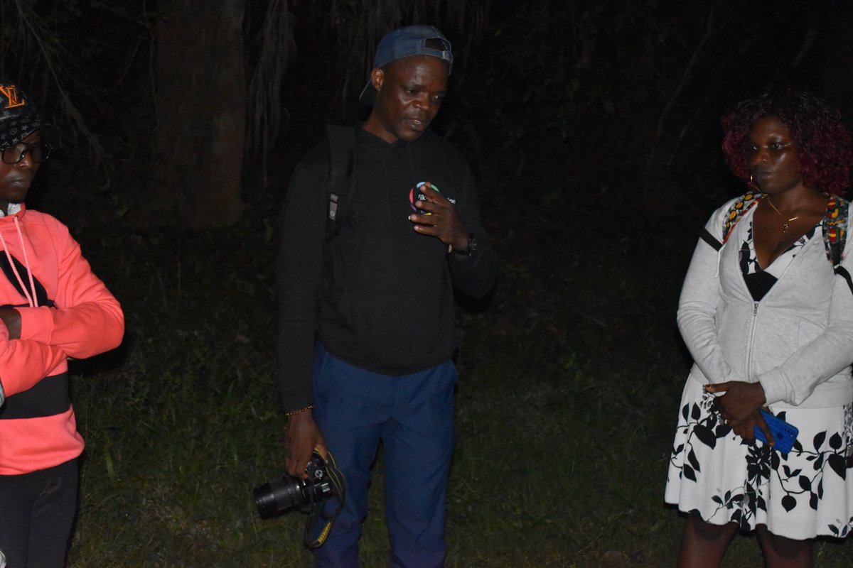 WikimediaBj's tweet photo. Merci à  à @SosBiodiversity  pour l'organisation de #NationalMothWeek 2023 au Bénin ce vendredi. Rejoignez des novices ce soir de 17h -18h30 à [Labs la GV] pour découvrir #Wikipédia  #InsectWeek #LoveInsects #Wikipédia #Commons #WikimediaBénin https://t.co/AL4z7Zpbx1