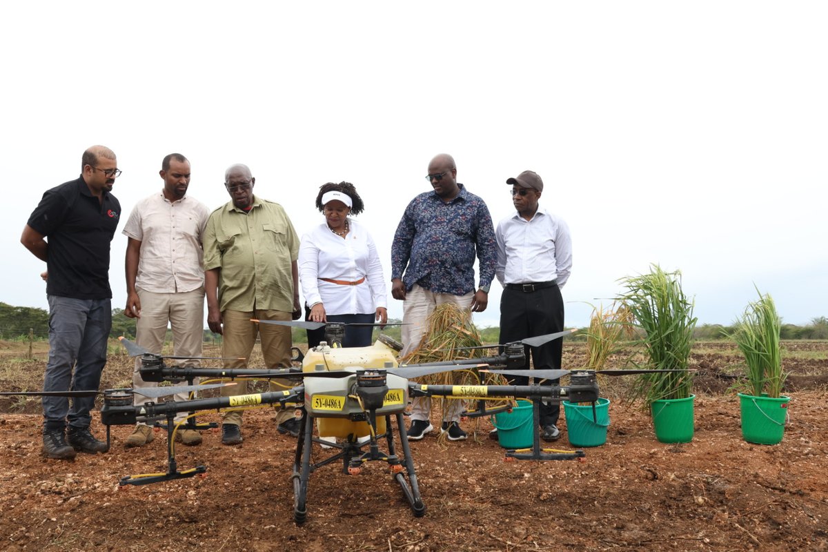 Astral Aerial tweet media