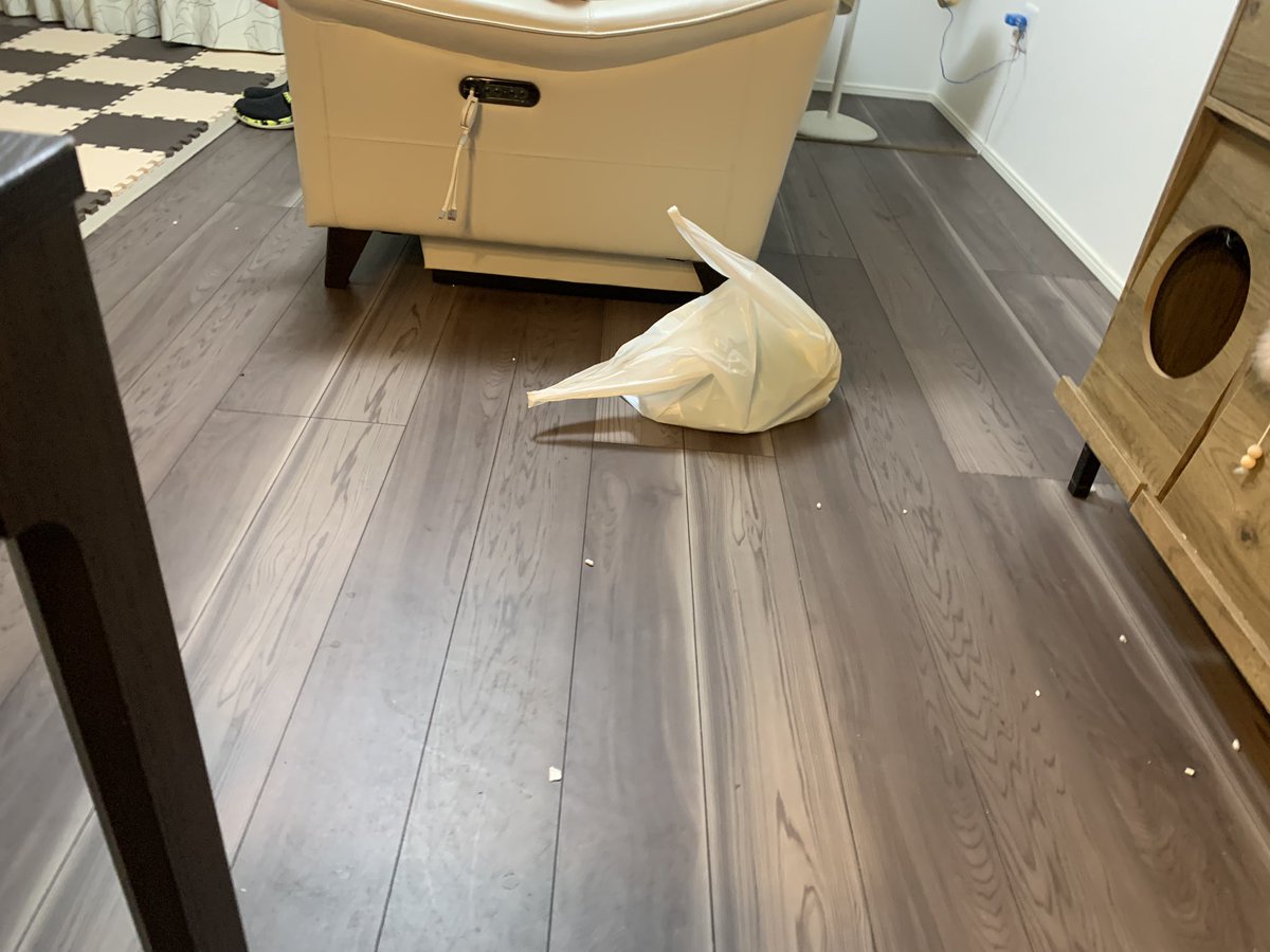 これこれこれこれwww