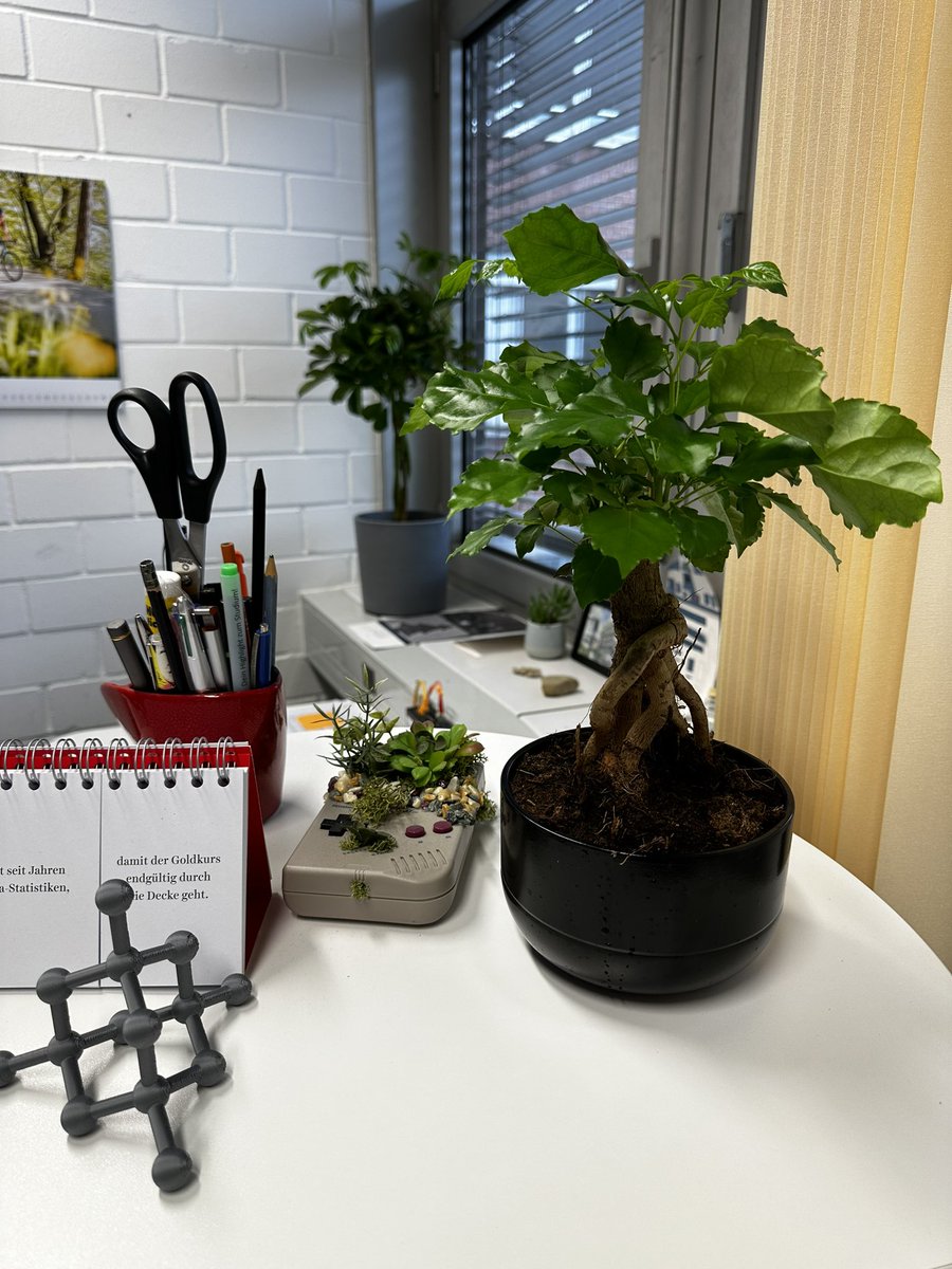 Nicolas Wöhrl tweet media