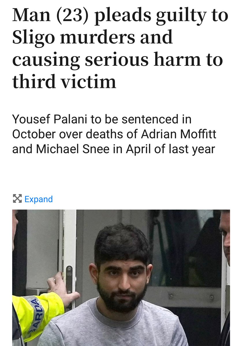 Guarenteed's tweet photo. @rtenews Afghan man. Not just some bloke from Sligo. “Serious harm” I believe involved blinding a man. He also cut the heads off the victims. This is the sort of men we’re getting. And it’s mostly men. https://t.co/vwtf8MzXWd