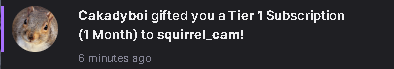 dont talk to me im busy watching squirrels <a href="/Cakadyy/">Cakady</a>
