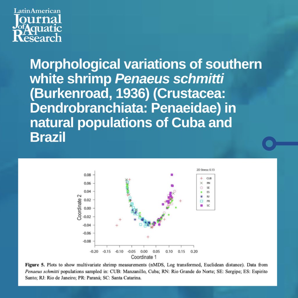 ⭕️ Les compartimos este estudio sobre las características morfológicas de diferentes poblaciones de #Pschmitti;  el crecimiento #alométrico positivo y la contribución a la #conservación y cultivo de P. schmitti.

#coastalfisheries #shrimp 
🔗 doi.org/10.3856/vol50-…