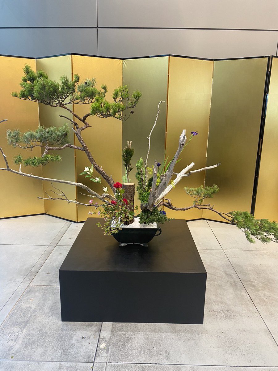 coinpost_kagami's tweet image. WebX入口の生花、実は母に生けてもらいました🙌

#WebX2023