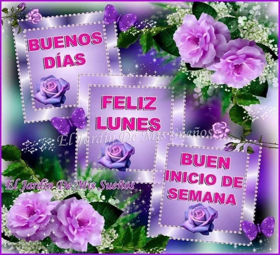 gina yael (@ginayael1) on Twitter photo 