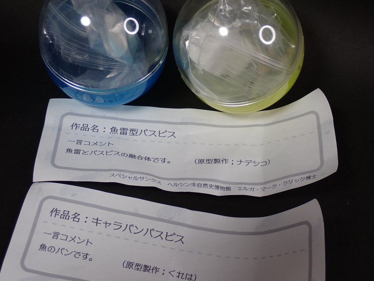 kari_kari_cube's tweet image. #WS2023S 買ったもの忘備録
・てぶくろぼっと／モデリズム
・ローポリニャンコ／MSJガレージキット
・キメラニアン／ぱーかーるーぱー
・サカバンバスピスガシャ／東京デザイナー学院