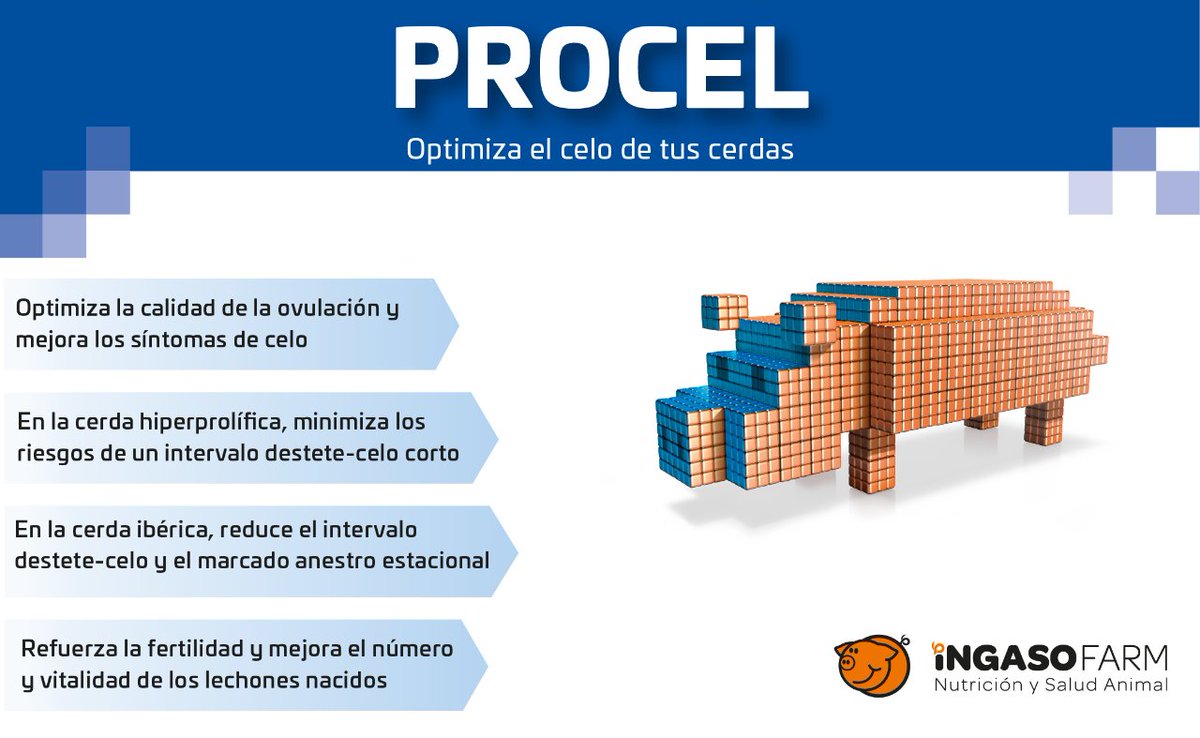 FARMFAES's tweet photo. 🐖☀¡Ya es hora de un verano óptimo en tu granja!#VeranoIngaso #Procel LA MEJOR INVERSIÓN PARA LOGRAR LA EFICIENCIA REPRODUCTIVA DE TU GRANJA🐷#IngasoProcel ha sido diseñado para reducir el intervalo destete-cubrición, estimular la ovulación y disminuir la mortalidad embrionaria. https://t.co/1VTnmXta4E