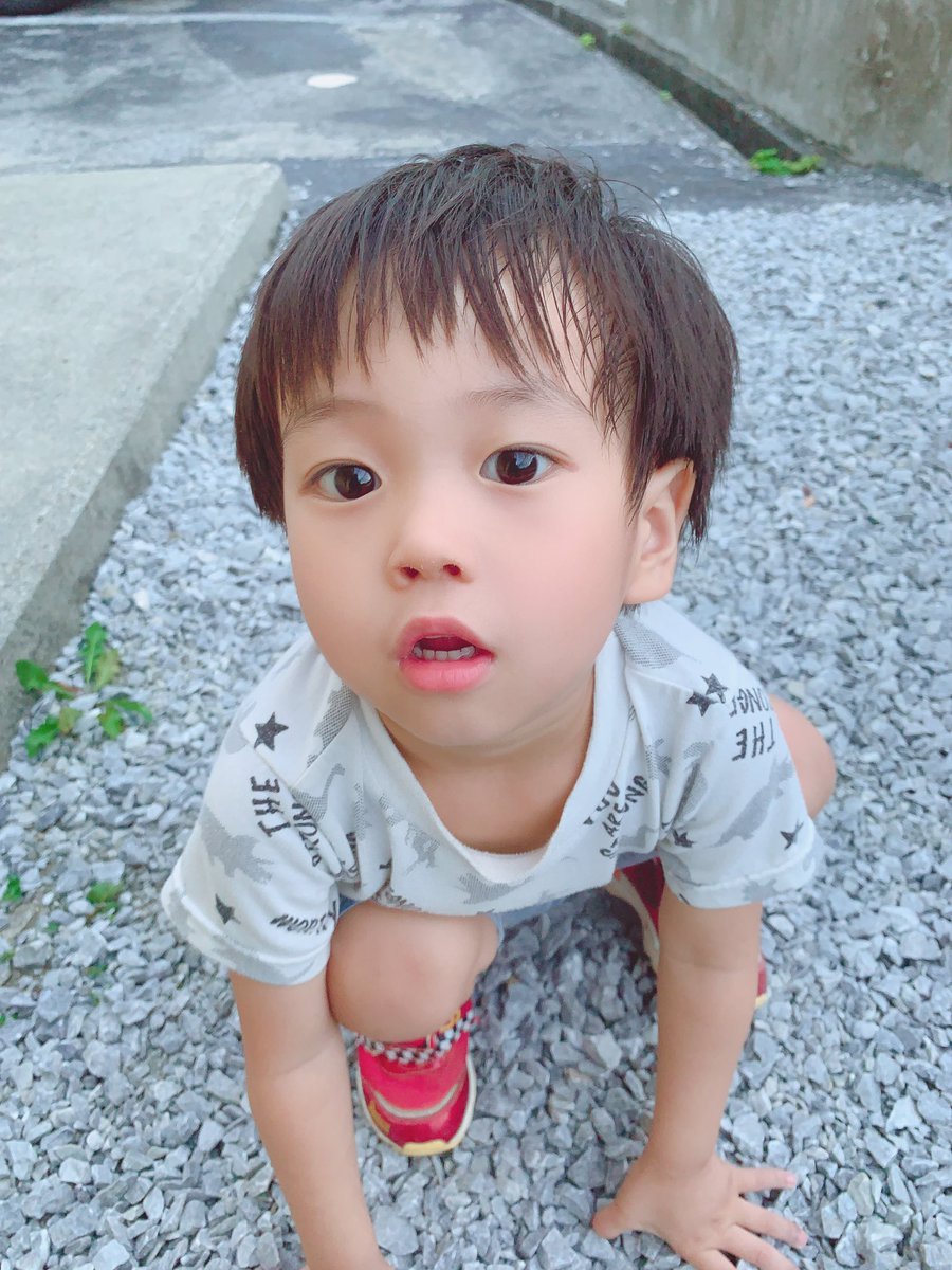 maya023035791's tweet photo. ���々投稿🤍
デカなかった子どもたち🫶🏻 https://t.co/85sZvdA0tO