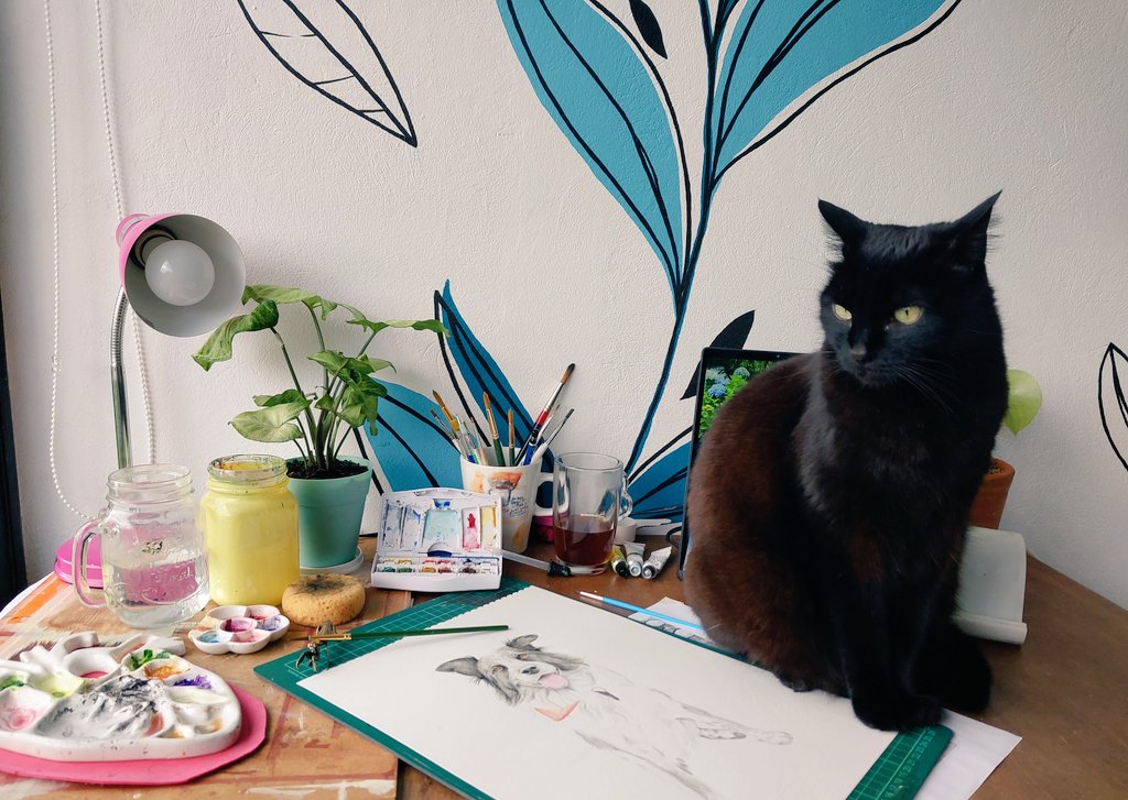 MaloRochi's tweet photo. #watercolor #Watercolour #watercolorpainting #watercolourpainting #CatsOfX #BlackCat #amora #dogsandcats #syngonium #singonio #plants #Naturelover #acuarela #gataloca https://t.co/nMKnk9agB1