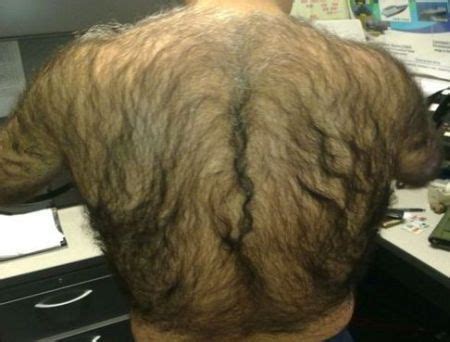 Hairy_Token's tweet photo. The team at $Hairy showing up for work today...

Today #hairytoken is going to run thanks to the support of all the hairy bastards out there! Lets get after it and comb our way through the #Web3 space today! 

There is no reason to be #BALD when you can choose to be hairy! https://t.co/5Fvy0MPkJD