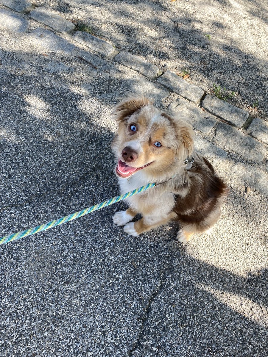 Kunal Atit tweet media