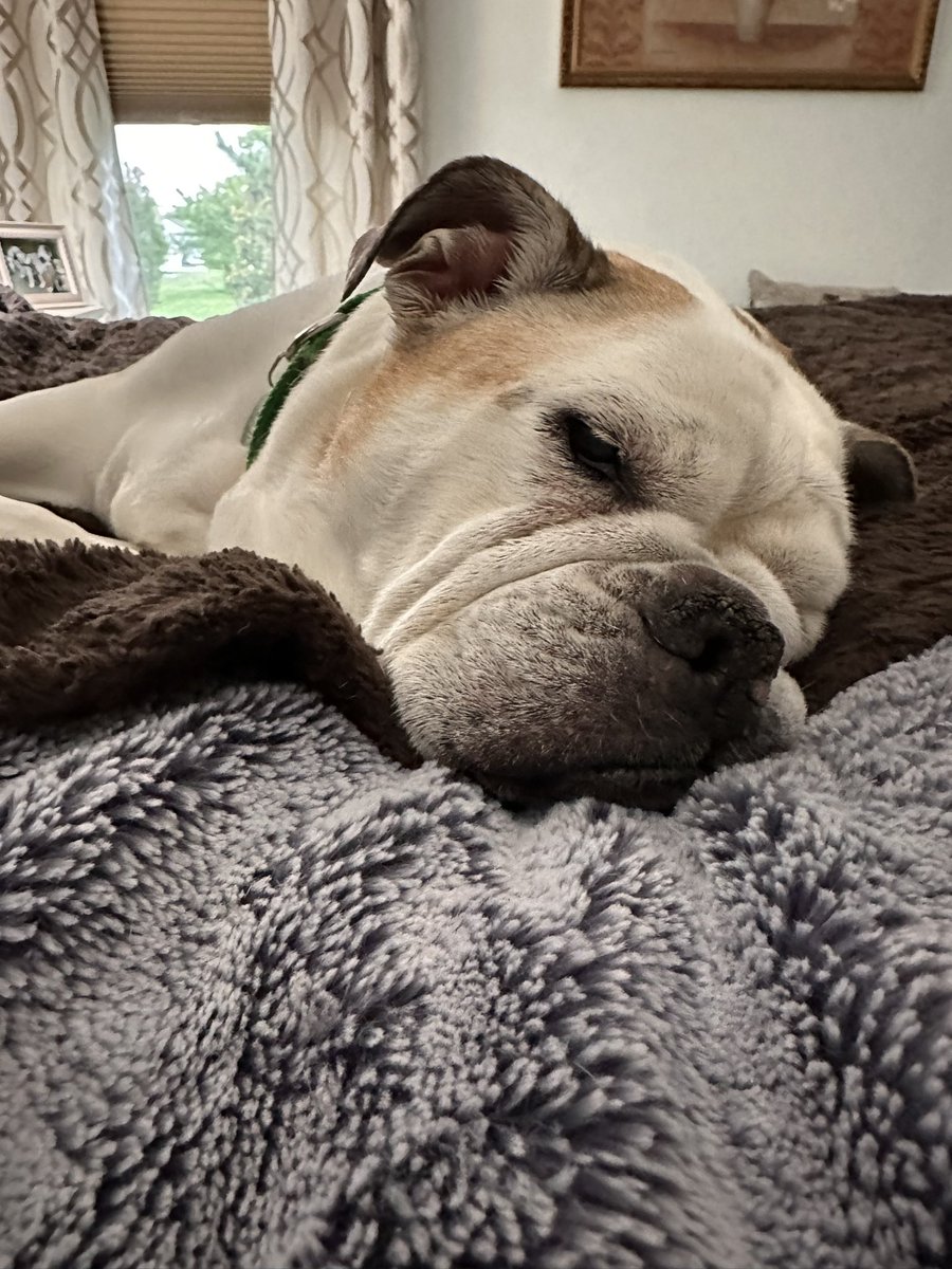 Gracie Sunshine tweet media