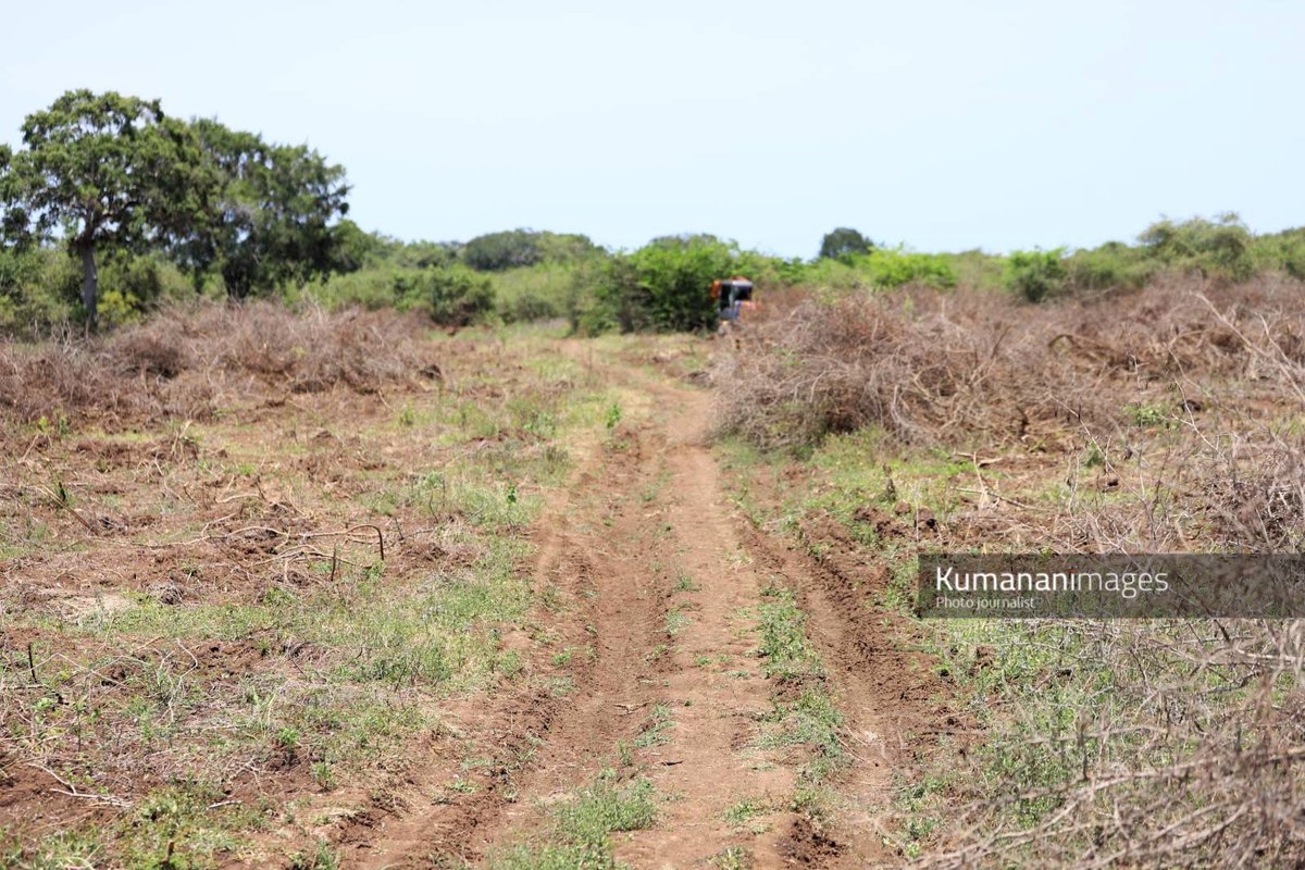 kumanan93's tweet photo. The Mahawali Authority of Sri Lanka is trying to occupy 1500 Acres of Land belonging to Native Tamil People in   the place of #kokkuthoduvai  ‘Akkaraiveli' a border area of Mullaitivu district. Actions are being taken to distribute 25 acres each to Sinhalese people.

#Landgrabbingsl #EndTheOccupation