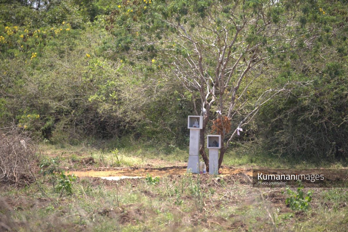 kumanan93's tweet photo. The Mahawali Authority of Sri Lanka is trying to occupy 1500 Acres of Land belonging to Native Tamil People in   the place of #kokkuthoduvai  ‘Akkaraiveli' a border area of Mullaitivu district. Actions are being taken to distribute 25 acres each to Sinhalese people.

#Landgrabbingsl #EndTheOccupation