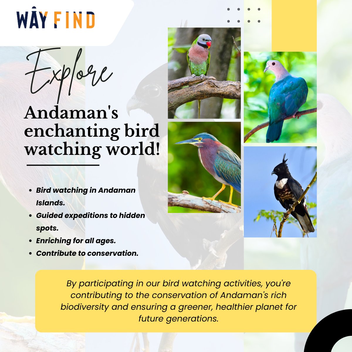 Discover Andaman's Birdwatching Bliss 🐦🌴
Guided expeditions, Enriching experiences, Conservation efforts 🌿📸
.
.
.
.
.
.
.
.

#BirdWatchingAndaman
#AndamanBirding
#BirdingAndaman
#BirdsOfAndaman
#AndamanBirds
#BirdWatchingIndia
#WildlifeAndaman
#BirdsAndamanIslands