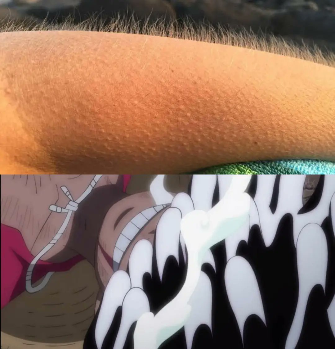 The Gear 5 Hype is so real, I'm just waiting for it to break the Internet #ONEPIECE