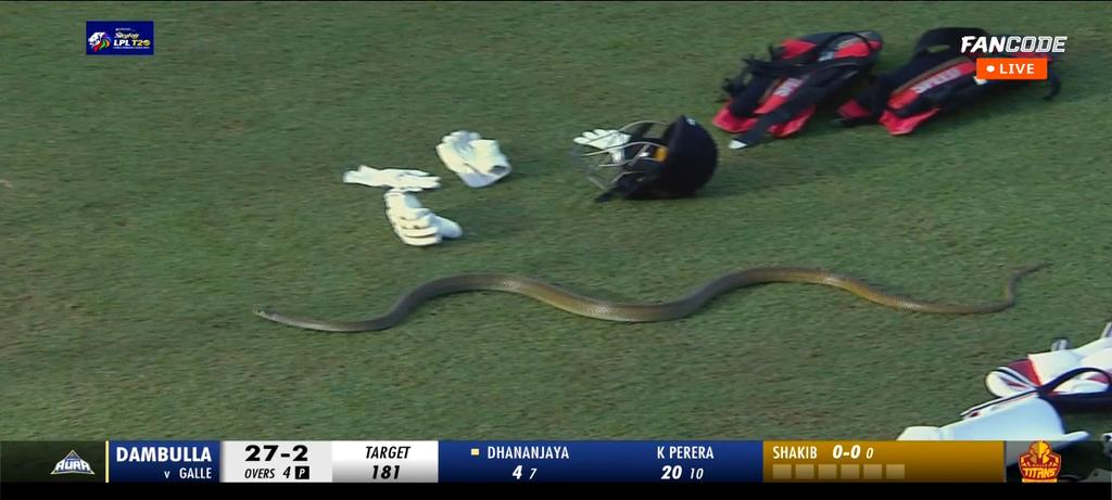 CricCrazyJohns's tweet photo. Snake stops play for sometime in Lanka Premier League. https://t.co/wHCnSDcbYL