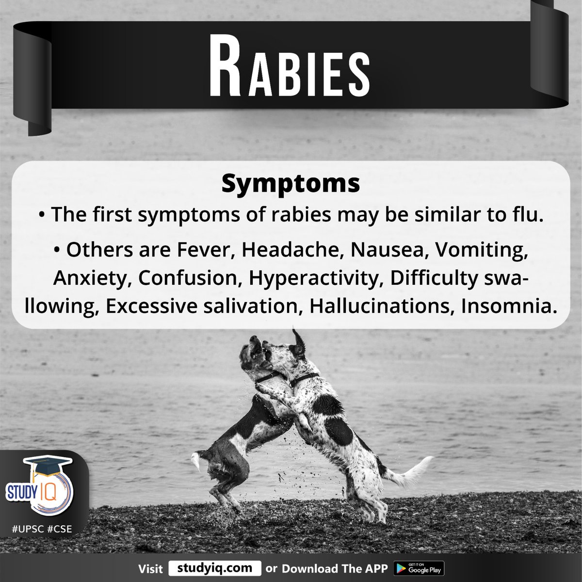 Rabies

#rabies #healthministry #loksabha #delhi #whyinnews #deathsduetorabies #zoonotic #centralnervoussystem #rabiesvirus #rnavirus #rhabdovirdaefamily #rabidanimals #domesticdogs #humans #headache #nausea #vomiting #hallucinations #insomnia #upsc #cse #ips #ias