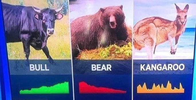 MMCrypto's tweet photo. #Bitcoin sadly identifies as Kangaroo. https://t.co/vzshrO6TaI