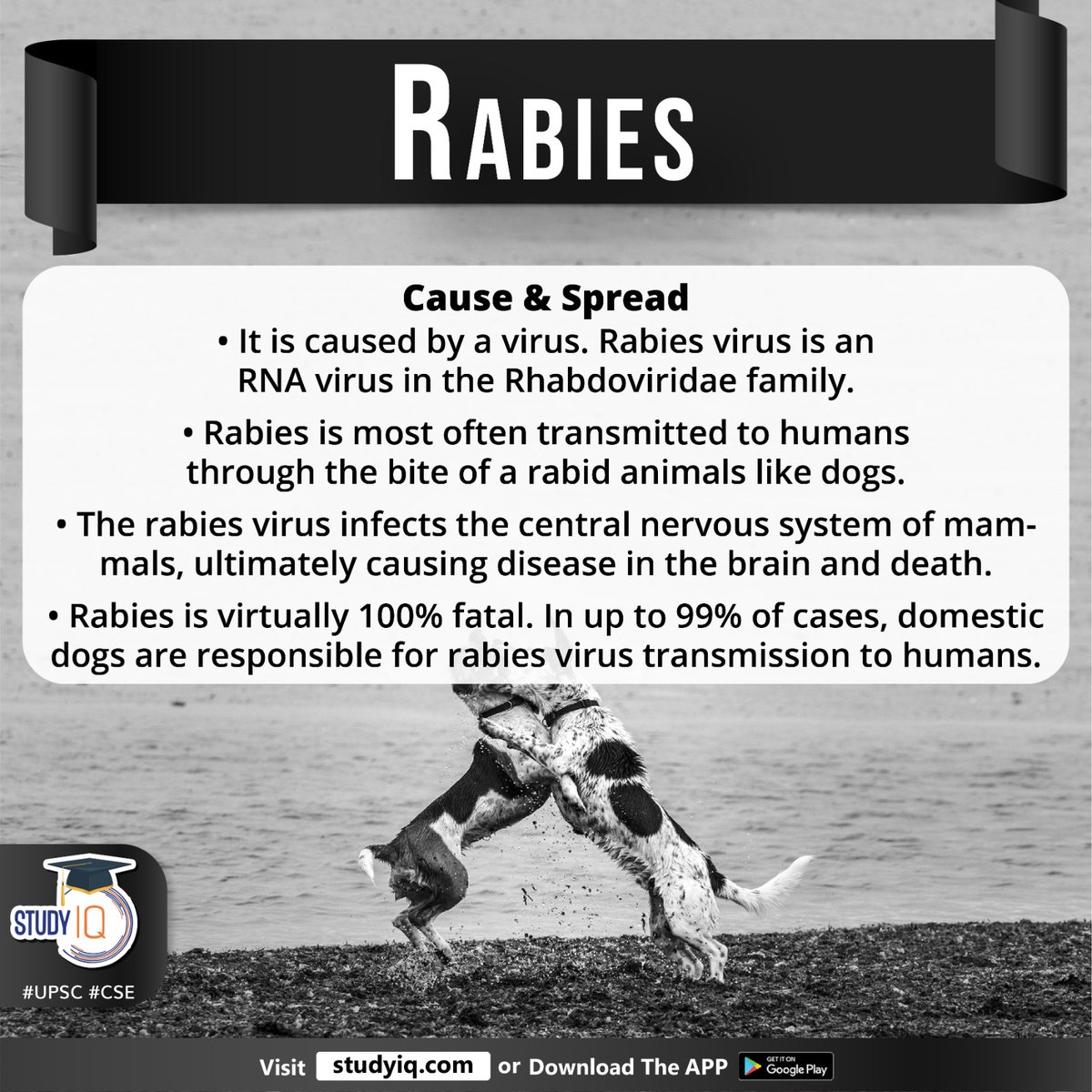upsciq's tweet photo. Rabies

#rabies #healthministry #loksabha #delhi #whyinnews #deathsduetorabies #zoonotic #centralnervoussystem #rabiesvirus #rnavirus #rhabdovirdaefamily #rabidanimals #domesticdogs #humans #headache #nausea #vomiting #hallucinations #insomnia #upsc #cse #ips #ias https://t.co/bdVUmpIpAV