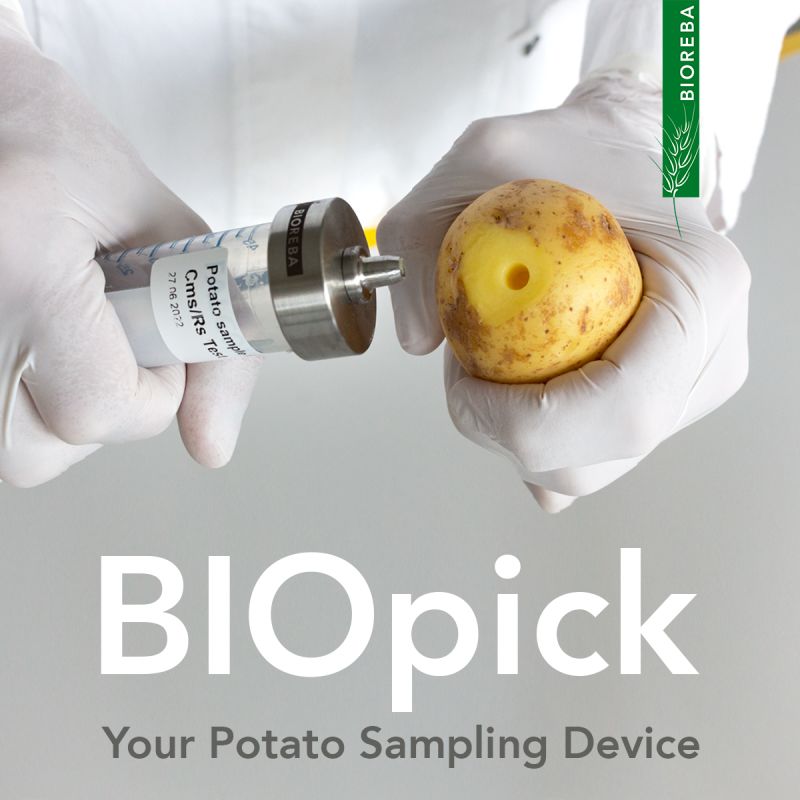 Introducing BIOpick , your solution for efficient #potato sampling.

Streamlining the process of sampling bulk potatoes, it offers unparalleled convenience and productivity. 

#labretoria #bioreba #plantscience #clavibactersepedonicus #ralstoniasolanacearum