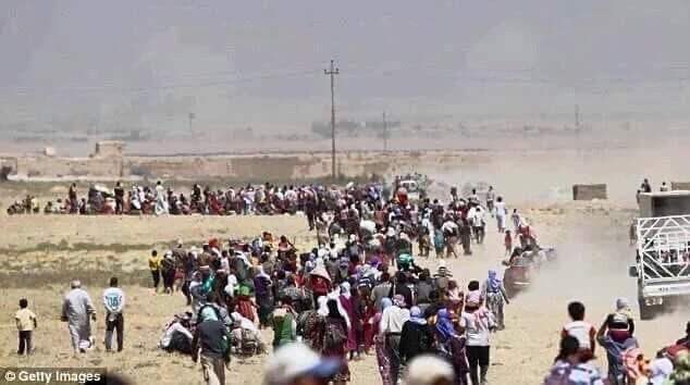 Shahab4shingal's tweet photo. من يظن بأنه مع مرور السنوات سوف ننسى غدر الجار وخيانة حامي الدار فهو واهم، لم ولن ننسى من قام بتسليم أهلنا دون قتال إلى الدو1عش ولم ولن ننسى غدر الجار من خونة الزاد والملح الذي تحول في غمضة عين إلى متوحش كاشفاً عن انيابه وهو يقتل الرجال ويقوم بسبي بناتنا! 

#الابادة_الايزيدية 
#YazidiGenocide