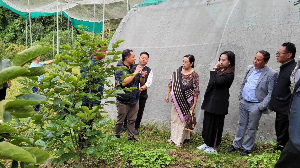 Accompanied by the Pfutsero MLA Dr. Neisatuo Mero, my officers & staff visited the Horticulture Research Farm #Pfutsero. Persimmon, kiwi, plum, roses etc are growing quite well. Discussed with my staff on how best to increase productivity by improving both quality & quantity.