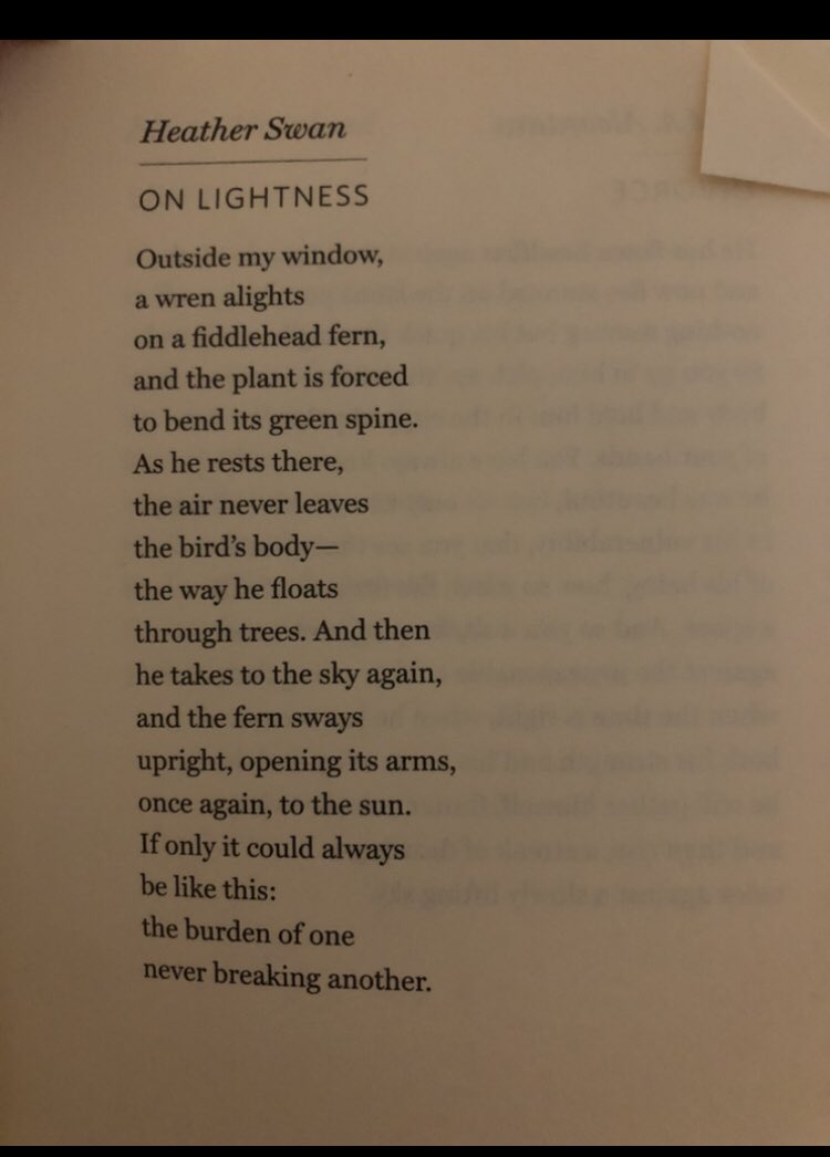 Joseph Fasano tweet media