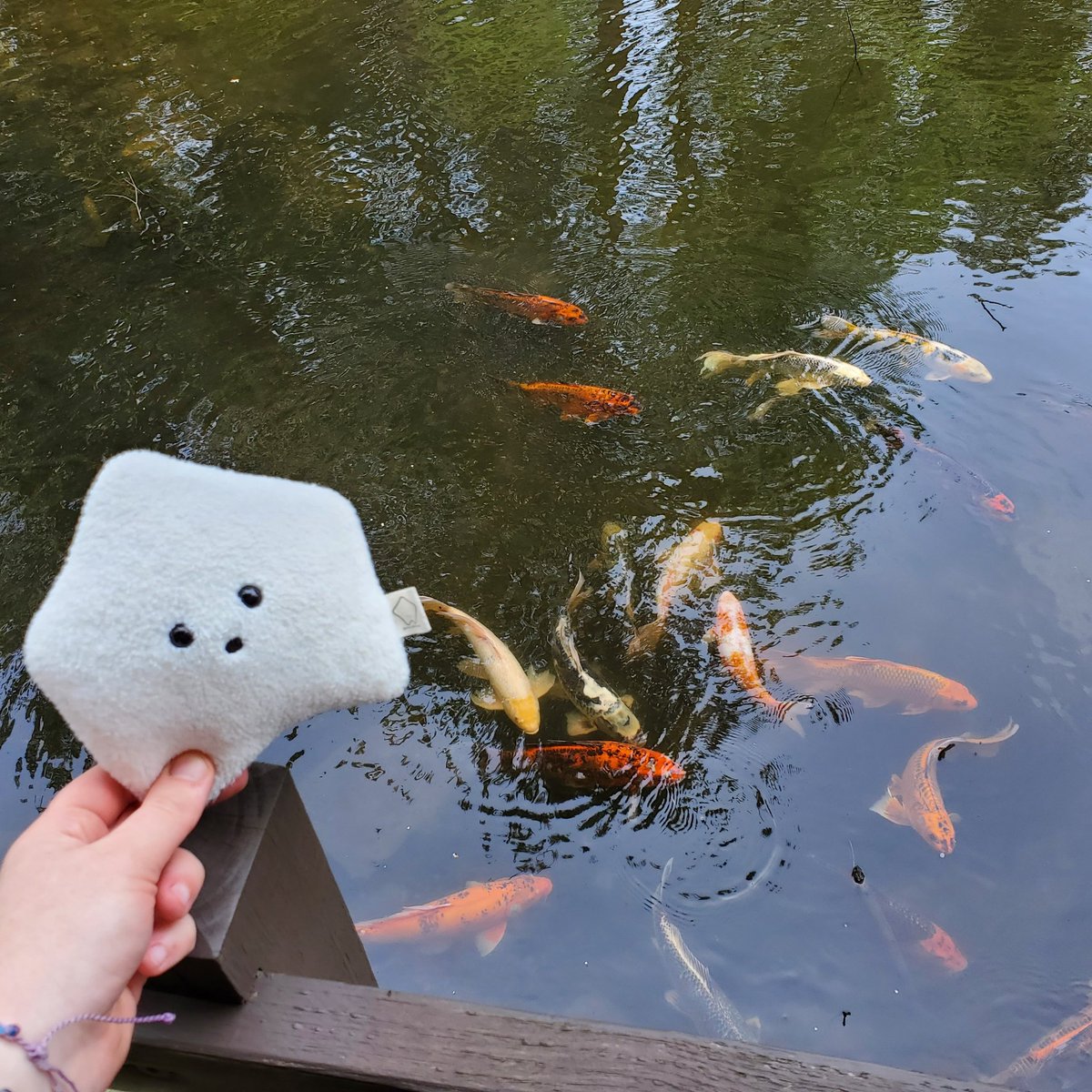 sucklet7's tweet photo. i would like to join them. πππππ.
#sucklet. #fishlet. #waterlet. https://t.co/sPmDYYNx1y