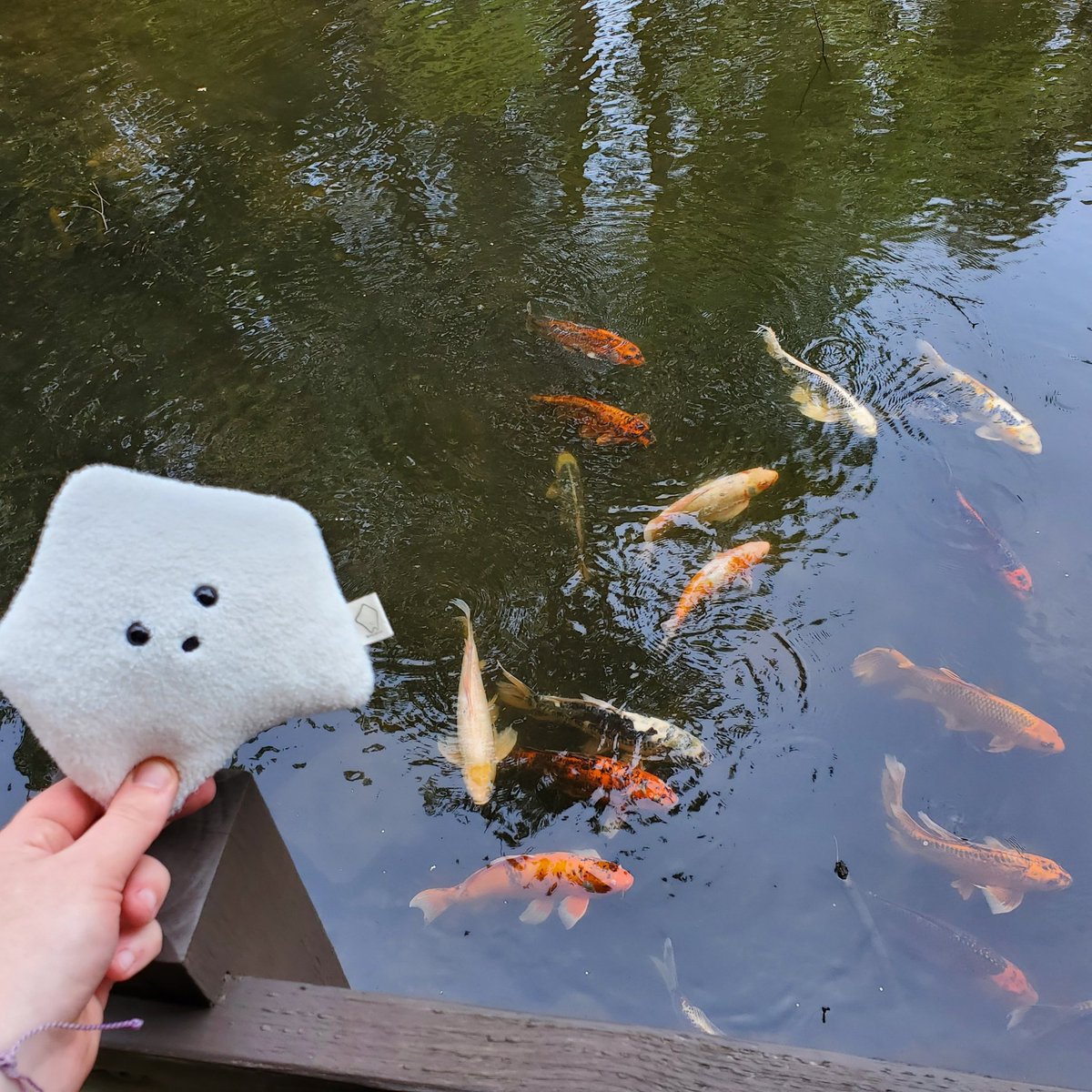sucklet7's tweet photo. i would like to join them. πππππ.
#sucklet. #fishlet. #waterlet. https://t.co/sPmDYYNx1y