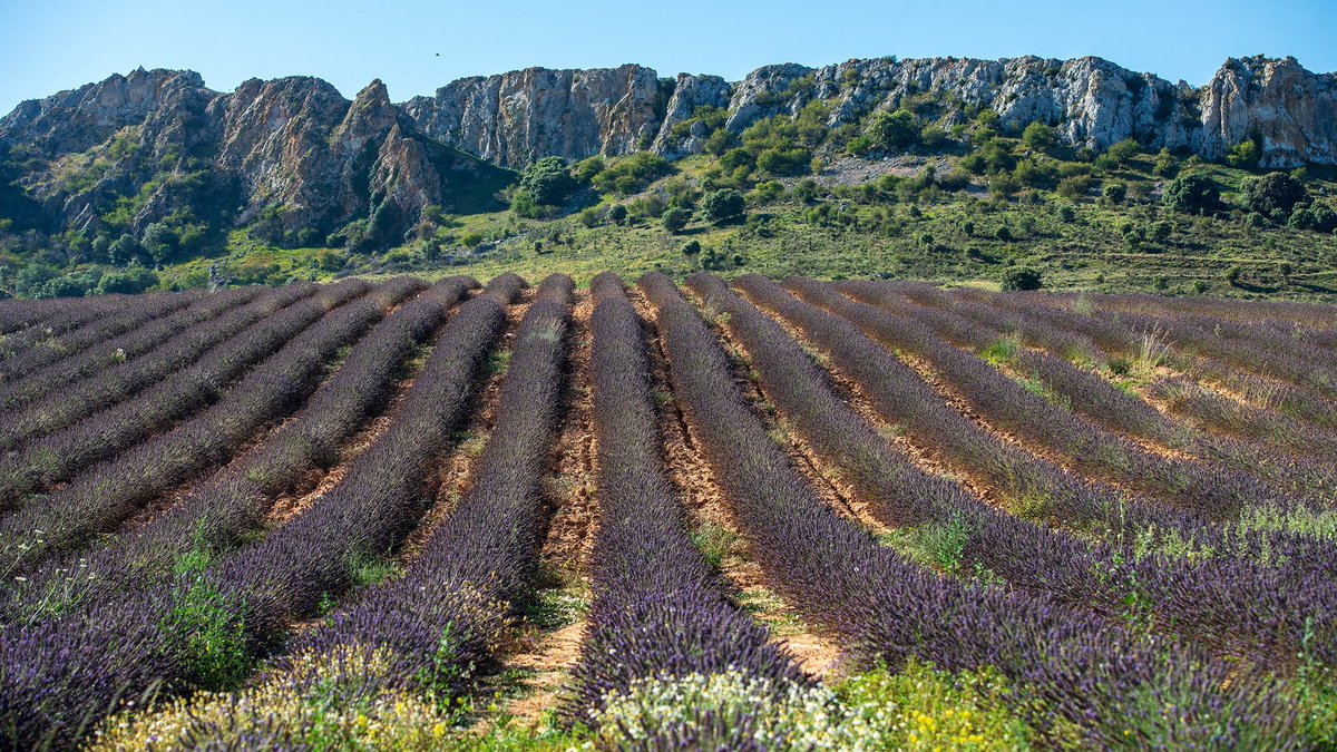 Gobierno de La Rioja tweet media