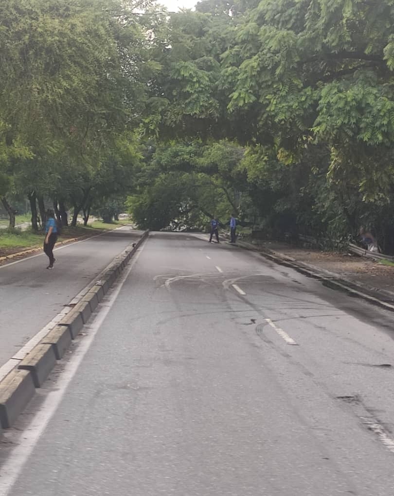 hernan_comunik's tweet photo. Atención ⚠️

Acaba de ocurrir, árbol caído en la avenida Constitución, a la altura de la urbanización Girardot, antes de llegar al puente que está cerca del Comando Central, sentido Maracay-Turmero, atentos.

#Reporte https://t.co/6iSoLGMhyD