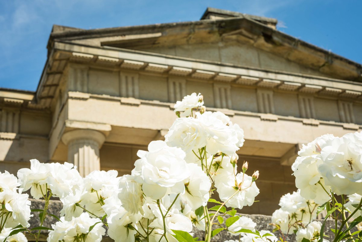 Do you want to hear about our plans to repair the roof at the Yorkshire Museum? Join us at the museum for a public consultation event at 4:30pm on Tuesday 8 August where you can find out more.