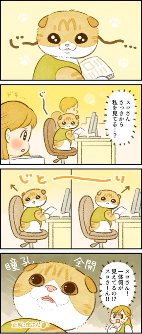 何かが見えている #スコティッシュフォールド さん -- 「 #がんばらない社員ずかん 番外編 by類さん @ruuiruiruirui 」次回もお楽しみに! #ヤメコミ ▼類さんの過去作品 