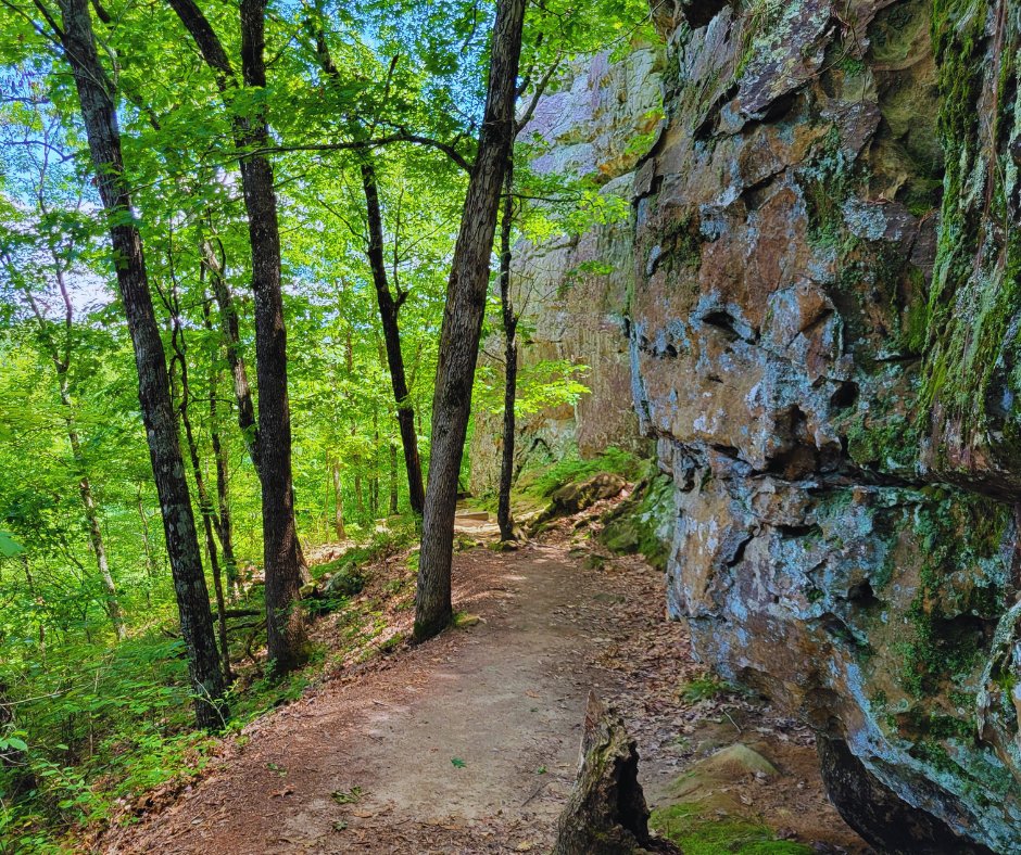 Of all the paths you take in life, make sure a few of them are dirt. ~John Muir

#findyourway #offthebeatenpath #discover #something #new #breathein #life #petitjeanstatepark #arkansas #mondaymotivation