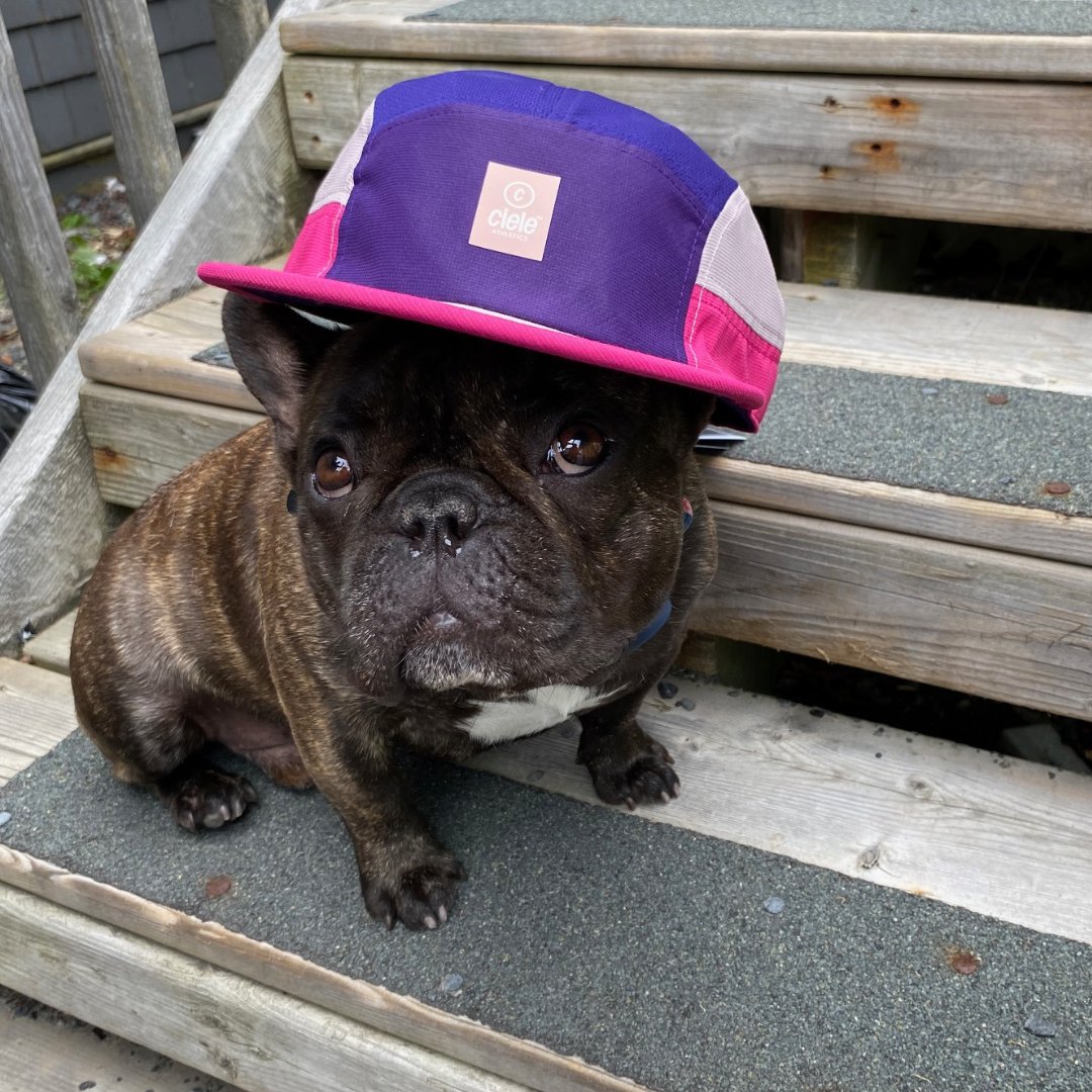 Aerobics First tweet media